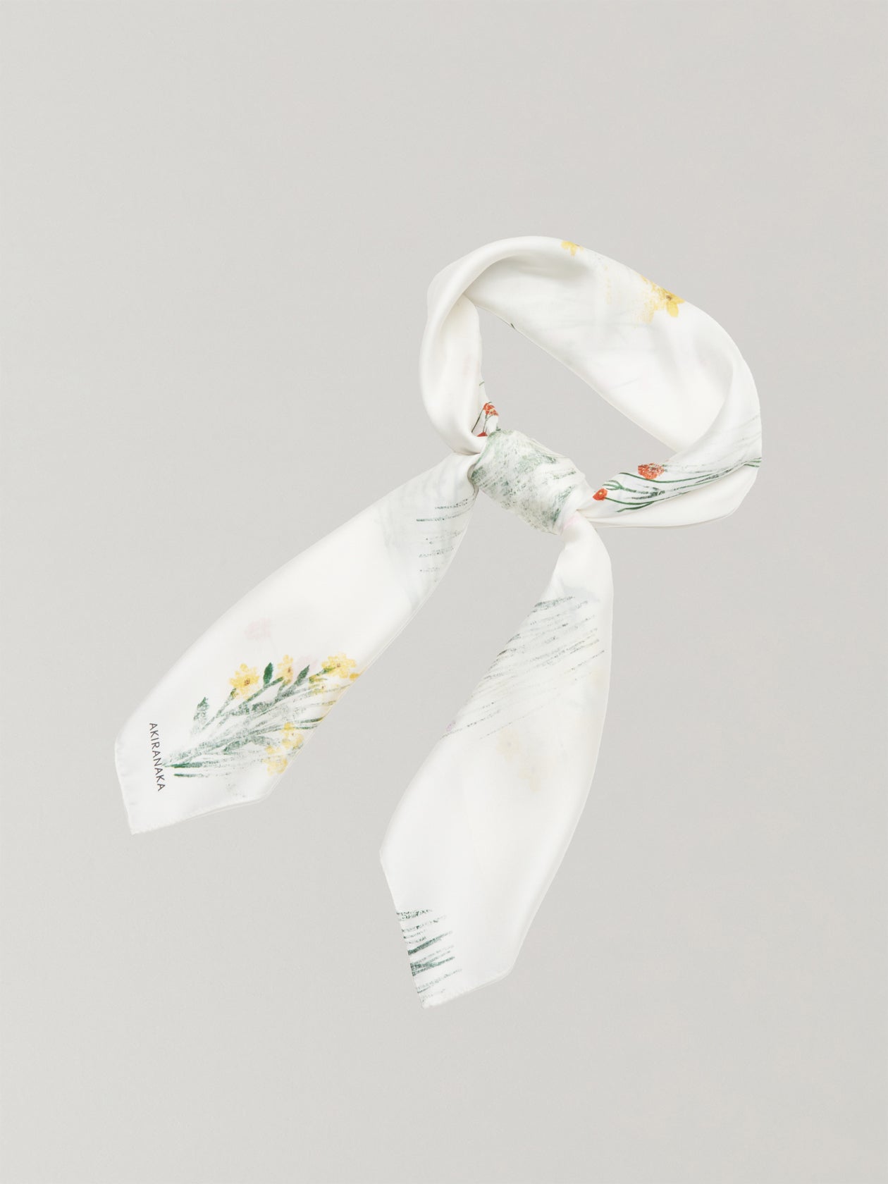 Schein scarf IV