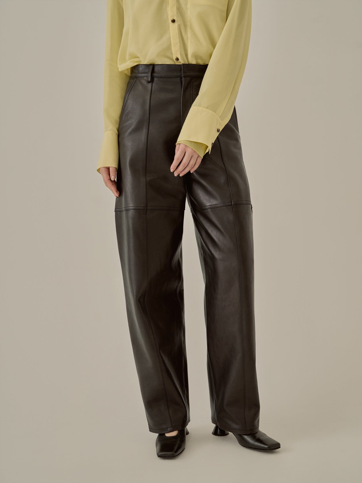 Miriam panel leather pants BK