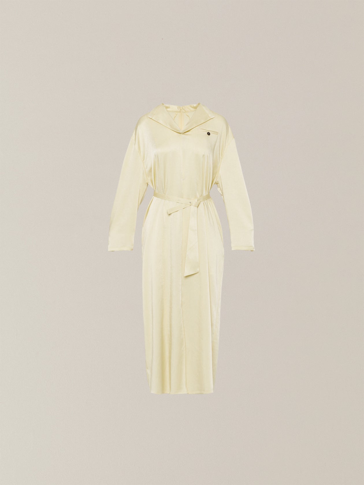 Karina stand collar dress YE
