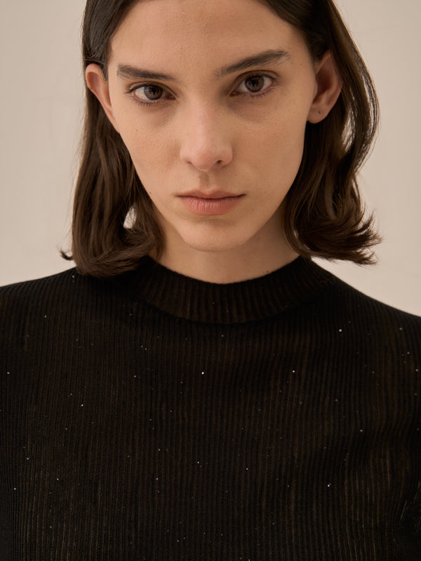 Basilia sequins knit pullover BK