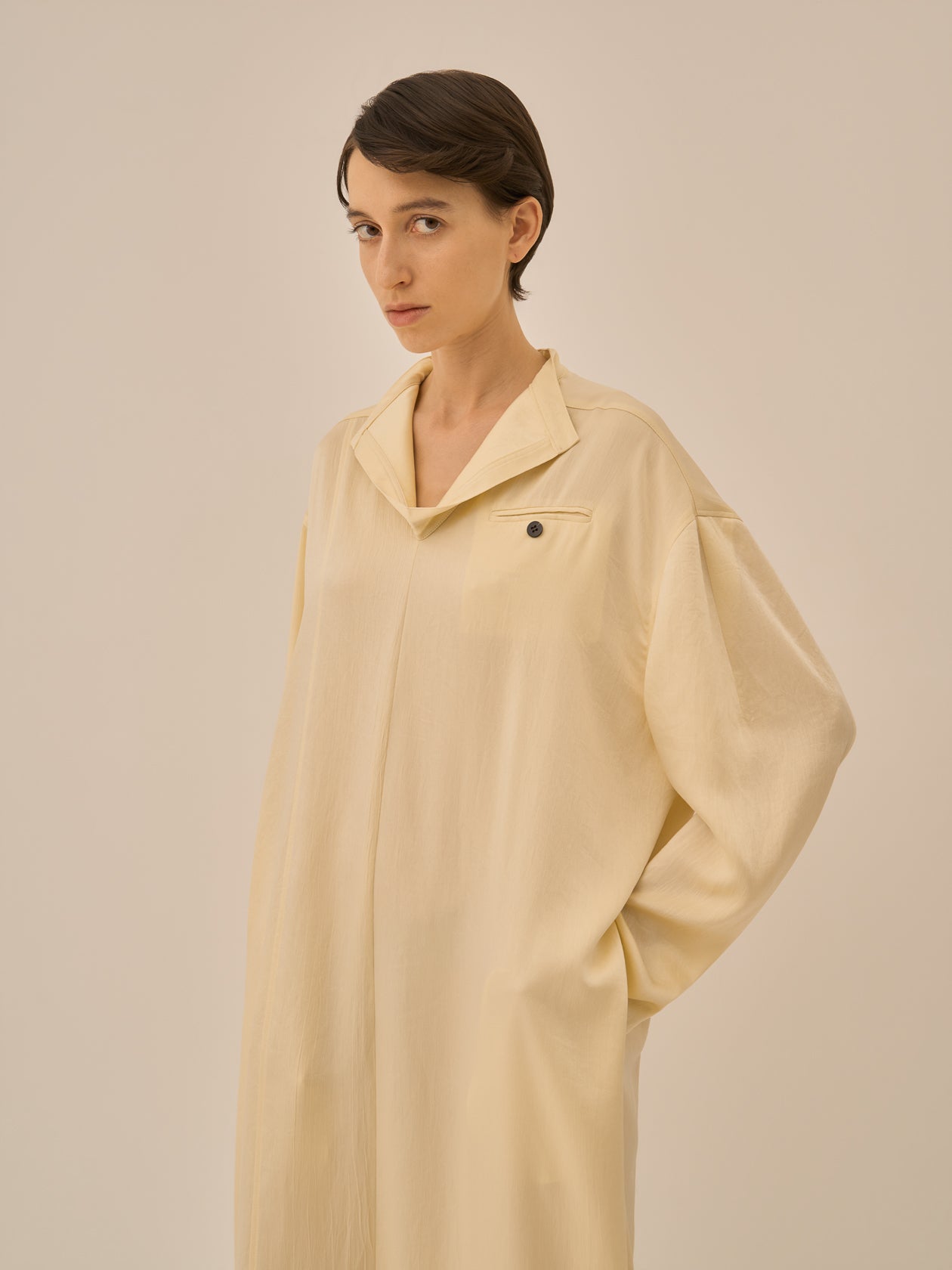 Karina stand collar dress YE